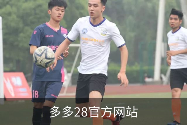 关于多多28官方网站
